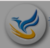 c_logo