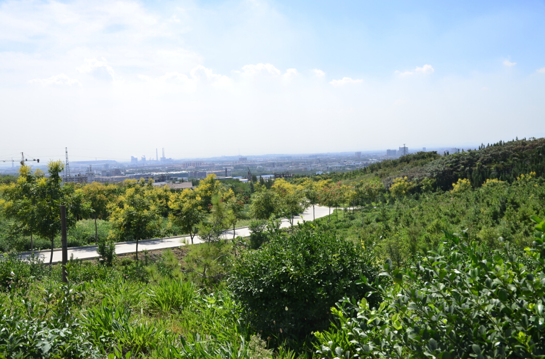 四宝山生态修复