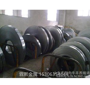 邢台柏乡县65mn弹簧带钢