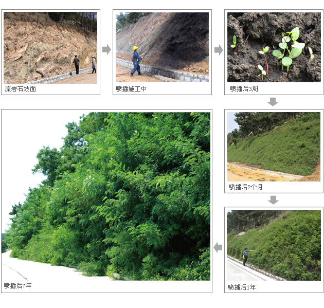 国家科技推广项目