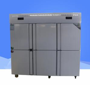 福星六门冷柜经济款 六门冷柜 低温柜 冷柜厂家 速冻柜山东 厂家直销 54