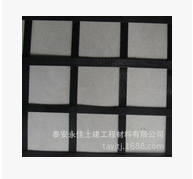 钢塑土工格栅