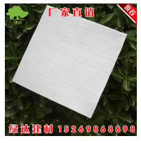  耐腐蚀藕池专用土工膜