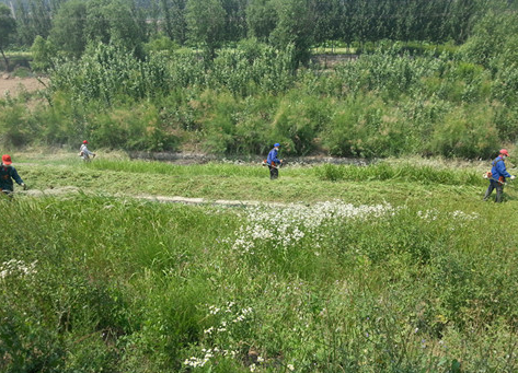 鹊山水库