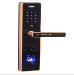 SZHE-FL100-C指纹密码锁