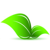 绿色照明