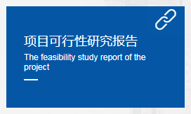 可行性研究报告