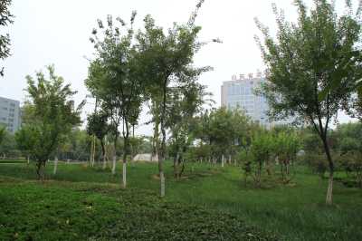 山东省农业科学院