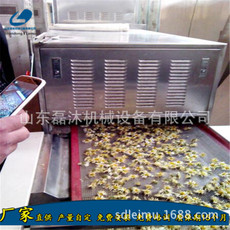 菊花烘干机中小型/玫瑰花快速脱水烘干设备